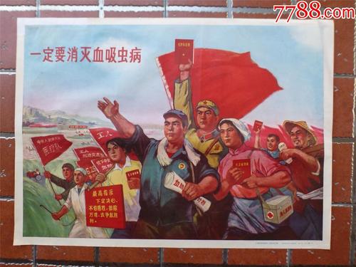 学历认证报告期限